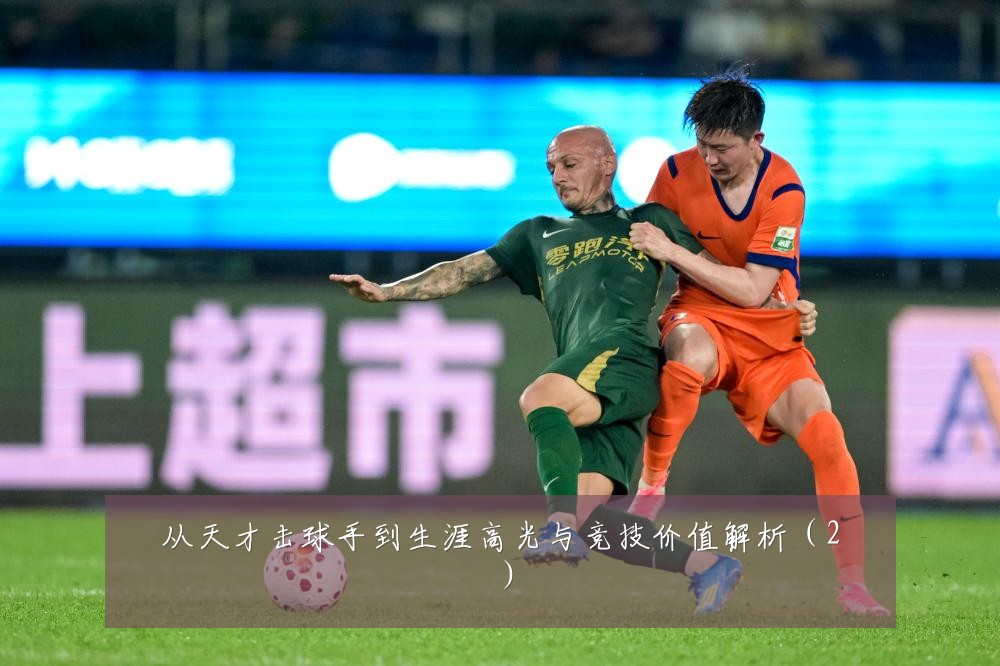 从天才击球手到生涯高光与竞技价值解析(2)